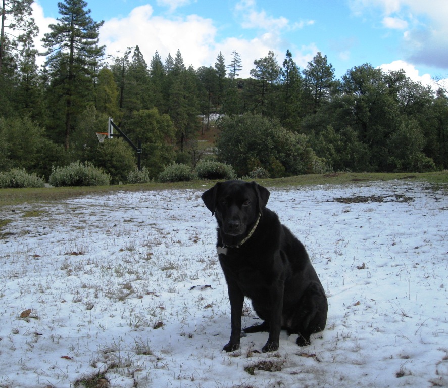 Dusting of snow at Northern California ranch experience